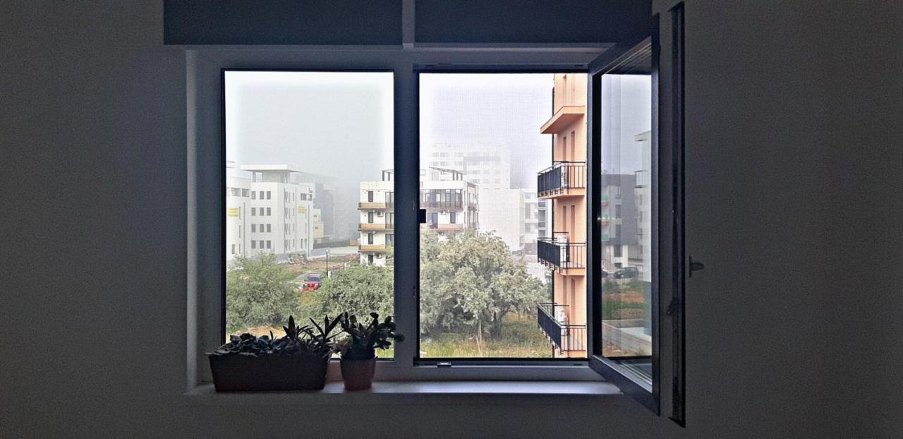 Daisy Apartament Năvodari Exteriér fotografie